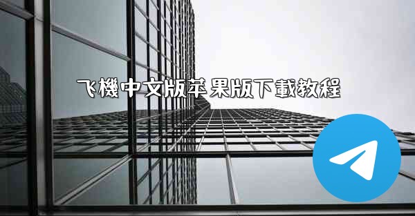 飞機中文版苹果版下載教程