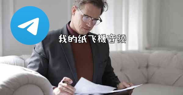 我的纸飞機音频