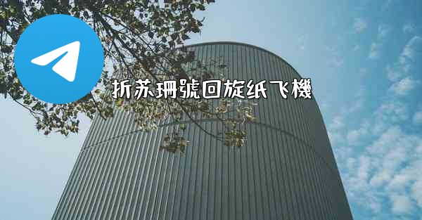 <b>折苏珊號回旋纸飞機</b>