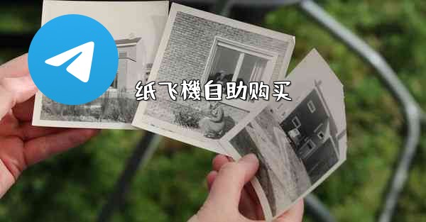 纸飞機自助购买