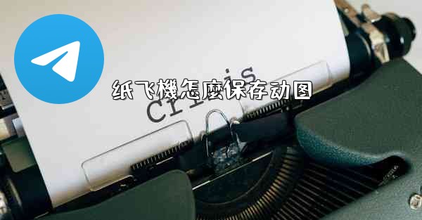 纸飞機怎麼保存动图
