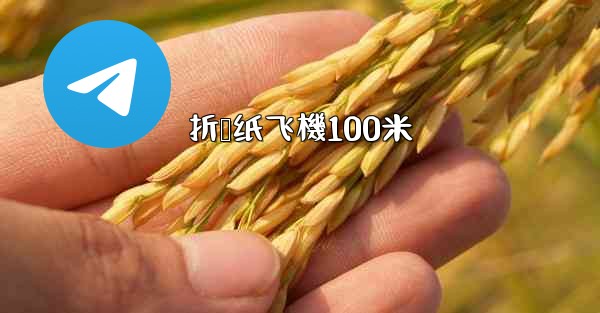 <b>折叠纸飞機100米</b>