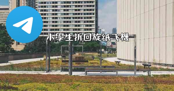 小學生折回旋纸飞機