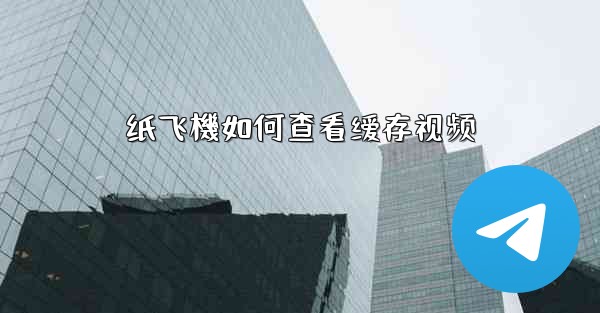 纸飞機如何查看缓存视频