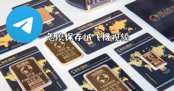 怎麼保存纸飞機视频