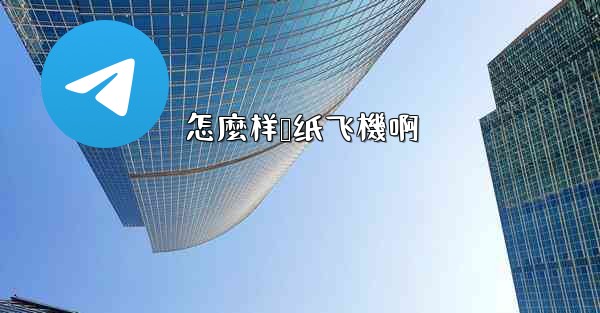 怎麼样叠纸飞機啊