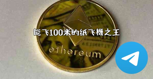 能飞100米的纸飞機之王