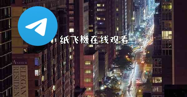 纸飞機在线观看