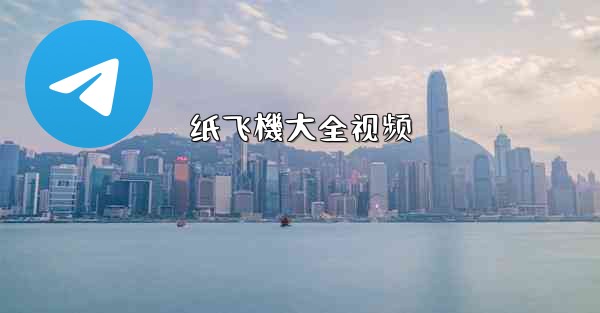 纸飞機大全视频