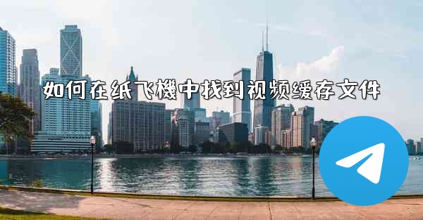 如何在纸飞機中找到视频缓存文件