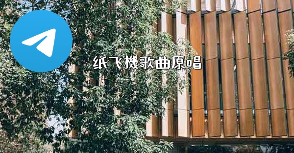 纸飞機歌曲原唱