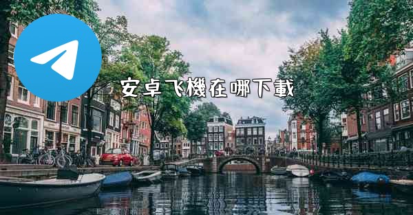 安卓飞機在哪下載