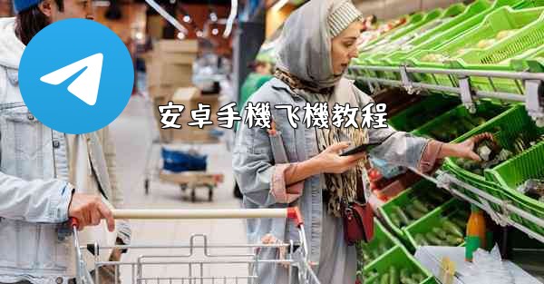 <b>安卓手機飞機教程</b>