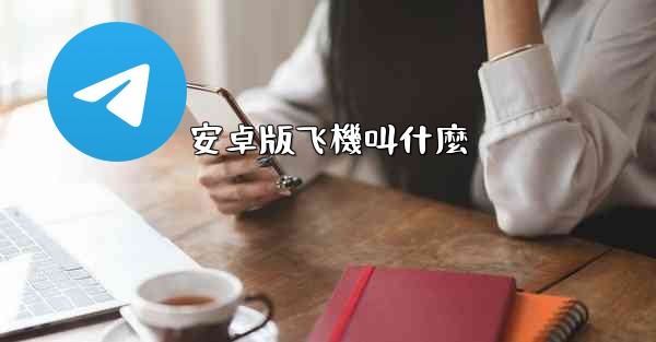 安卓版飞機叫什麼