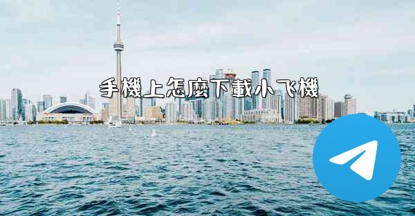 手機上怎麼下載小飞機