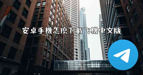 安卓手機怎麼下載飞機中文版
