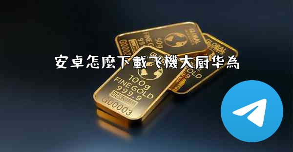 安卓怎麼下載飞機大厨华為