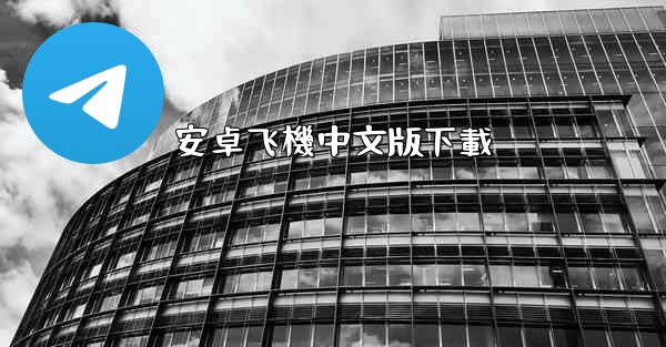 安卓飞機中文版下載