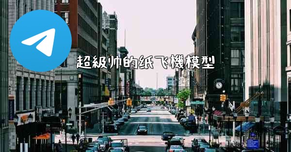 超級帅的纸飞機模型