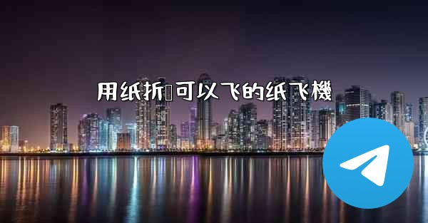 <b>用纸折叠可以飞的纸飞機</b>