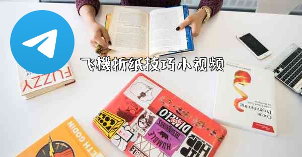 飞機折纸技巧小视频