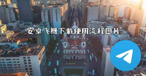 安卓飞機下載使用流程图片