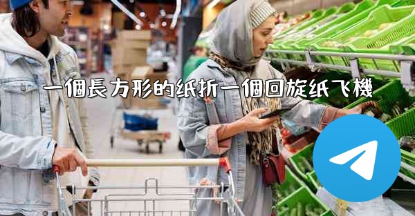 <b>一個長方形的纸折一個回旋纸飞機</b>