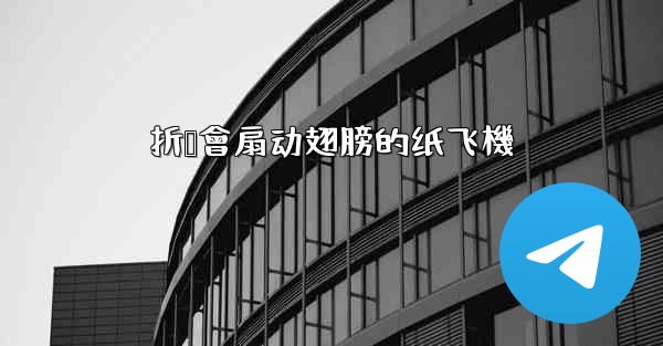 折叠會扇动翅膀的纸飞機