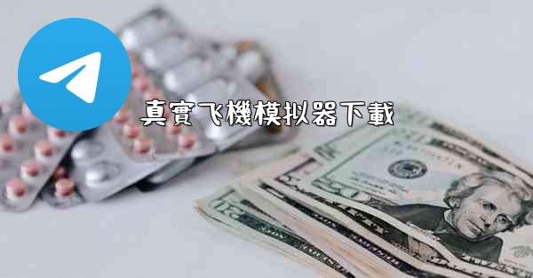 真實飞機模拟器下載