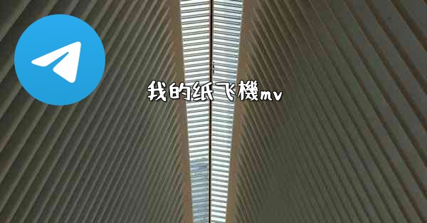 我的纸飞機mv