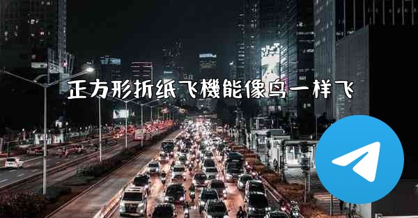 正方形折纸飞機能像鸟一样飞