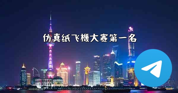 仿真纸飞機大赛第一名