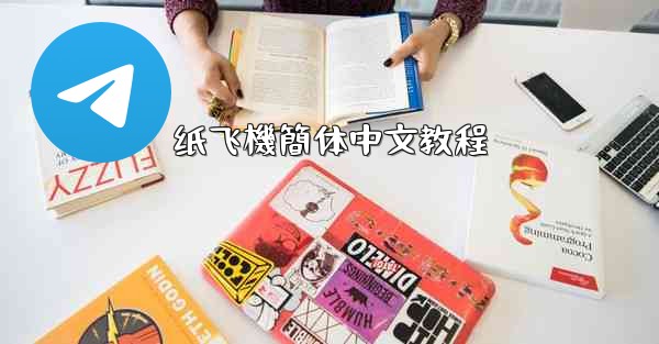 纸飞機簡体中文教程