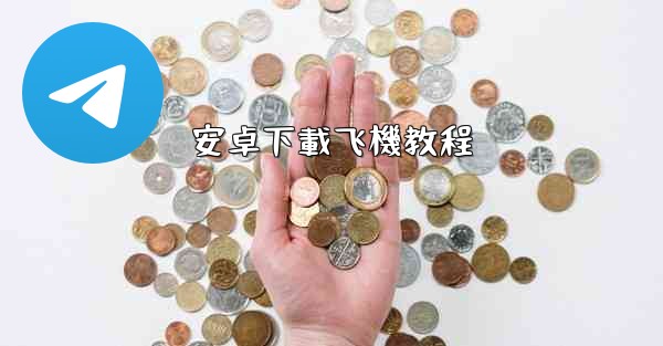 安卓下載飞機教程