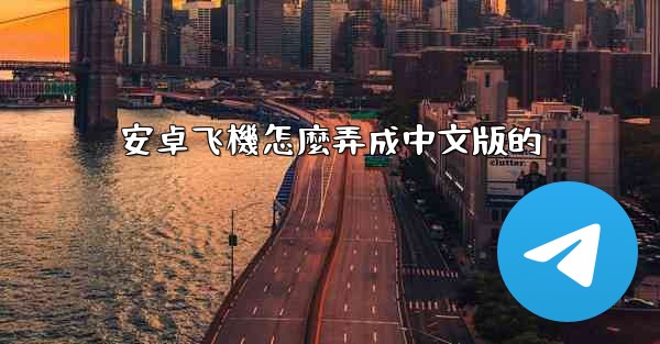 安卓飞機怎麼弄成中文版的