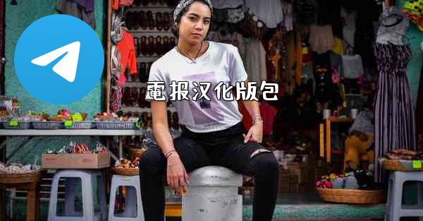 電报汉化版包