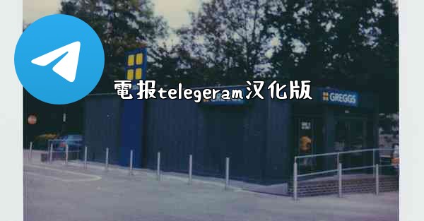 電报telegeram汉化版