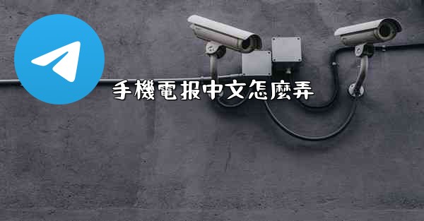 手機電报中文怎麼弄
