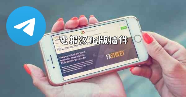 電报汉化版插件