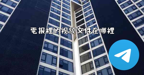 電报裡的视频文件在哪裡