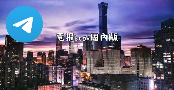 電报btok國內版