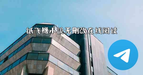 纸飞機小說无刪改在线阅读