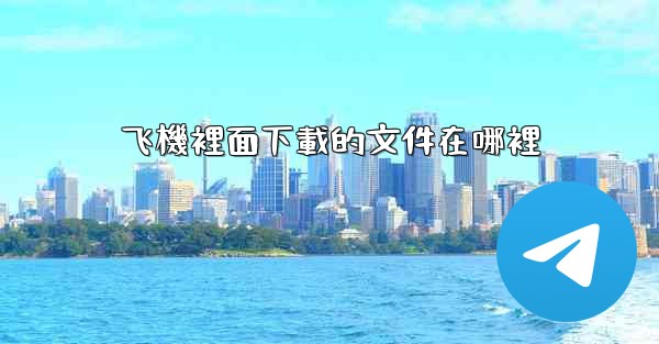 飞機裡面下載的文件在哪裡