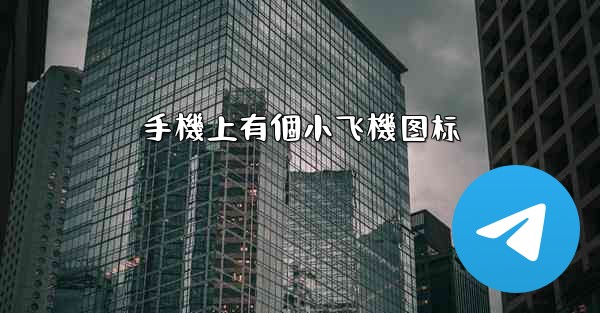 手機上有個小飞機图标