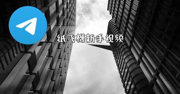 纸飞機新手视频