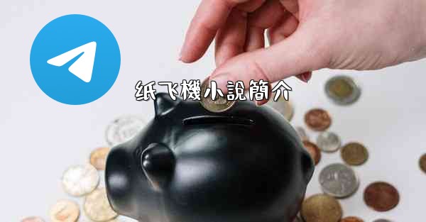 纸飞機小說簡介