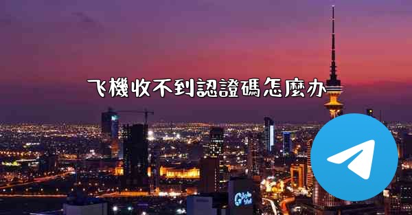 飞機收不到認證碼怎麼办