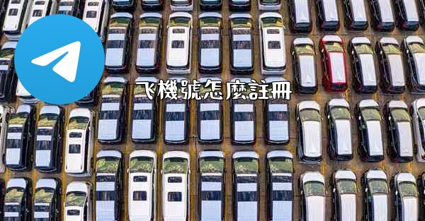 飞機號怎麼註冊