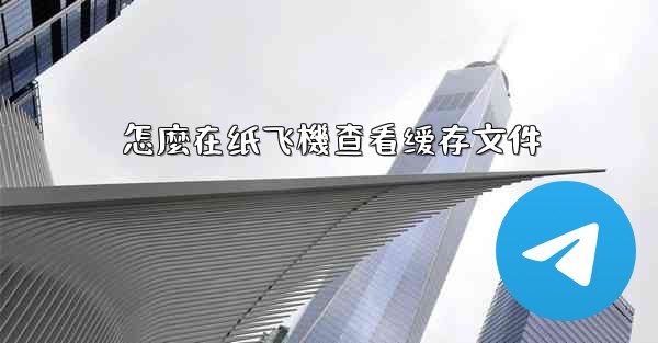 怎麼在纸飞機查看缓存文件