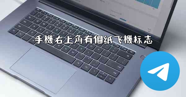 手機右上角有個纸飞機标志